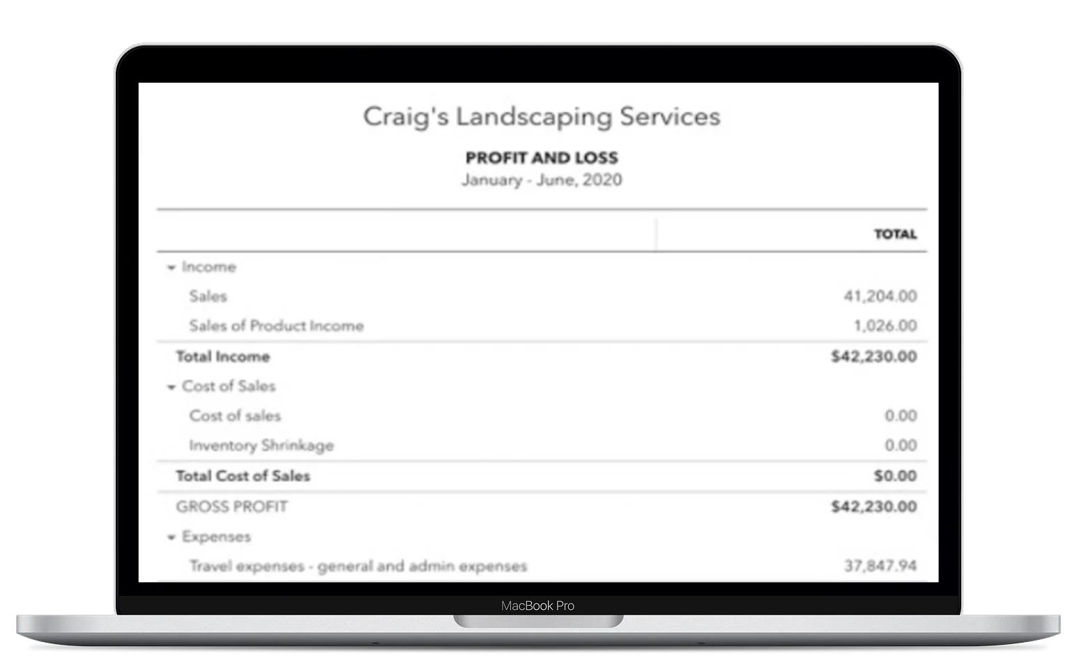 A MacBook Pro displays a profit and loss statement for Craig's Landscaping Services, showing income, cost of sales, and total expenses from January to June 2020.
